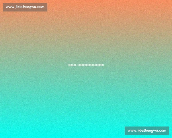 费迪南德：B 费拒沙特天价合同，他才是曼联真队长！