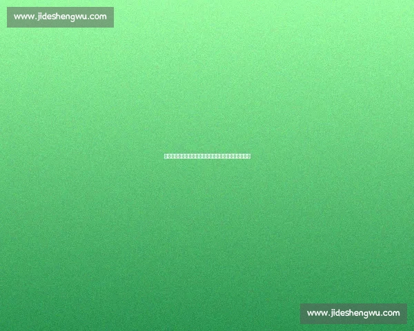 齐沃亮剑世俱杯：坚守钢铁防线，革新战术重塑蓝黑基因