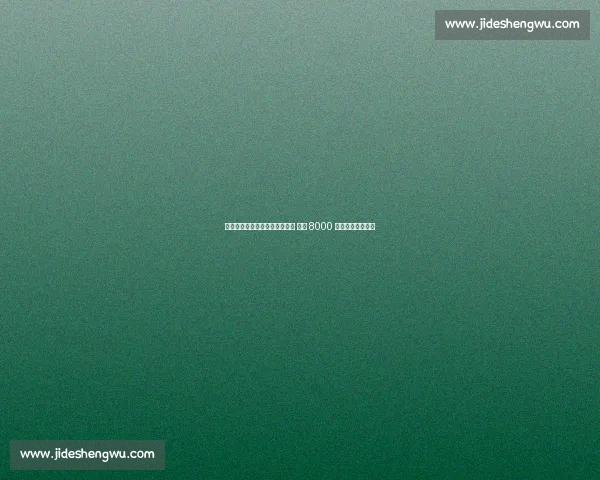 阿森纳放弃哲凯赖什转攻舍什科 葡体 8000 万欧标价成拦路虎